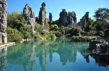 1 Day Stone Forest & Jiuxiang Cave Tour