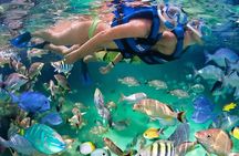 All Inclusive Isla Mujeres Tour from Cancun or Riviera Maya. Snorkel included.