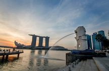 Half Day or Full Day Private Custom Walking Tour of Singapore