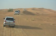 Afternoon Desert Safari with BBQ Dinner