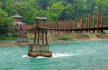 Mount Qingcheng and Dujiangyan Dam Guided Day Trip from Chengdu
