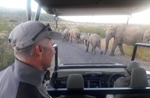 Pilanesberg camping Safari from Johannesburg