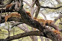 4 Days Tarangire Serengeti Ngorongoro Crater