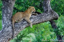 4 Day Bubezi Classic Safari & Panoramic Tour
