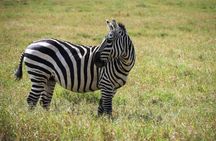 Hells Gate Excursion in Naivasha