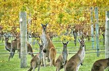 Margaret River Indulge and Discover Day Tour