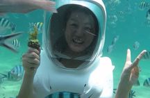 Bali Sea Walker