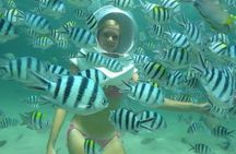 Bali Sea Walker
