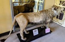 Explore the Best of Addis Ababa City Tour