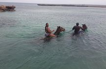 Horseback Riding Dunn's River Falls Adventure from Montego Bay 