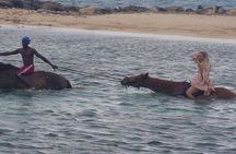 Horseback Riding Dunn's River Falls Adventure from Montego Bay 