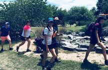 Dine & Disc Golf in The Texas Hill Country
