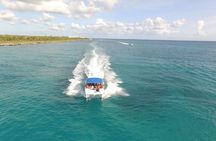 Saona Island Day Trip From Punta Cana with Lunch and Open Bar
