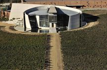 Small-Group Tour: Portillo Ski Center, Inca Lagoon plus Premium Wineries in Aconcagua Valley