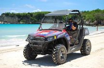 Punta Cana Buggy Adventure to Macao Beach