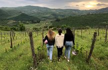 Small Group Wine Tasting in Tuscany with Vineyard Visit