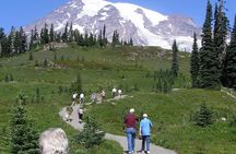 Mt. Rainier Day Tour from Seattle