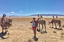 2D,1N Gobi desert and Old city Kharkhorum stay with Nomadic family