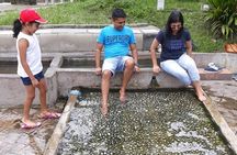 Back to Nature Tour - Templer's Park, Hot Spring & Batu Caves
