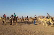 2 Days 1 Night To Zagora Desert From Marrakech