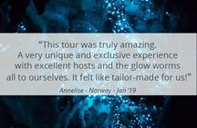 See Auckland's Secret Glow Worms