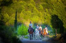 Horseback Riding in Konavle Region with Transport from Dubrovnik