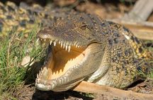 1 Day Corroboree Billabong Wetland Experience including 2.5 hour cruise + lunch
