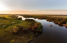 1 Day Corroboree Billabong Wetland Experience including 2.5 hour cruise + lunch