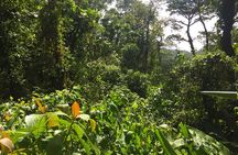 Monteverde Cloud Forest privateTour