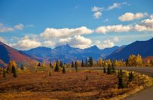 Denali Self-Guided Jeep Adventure