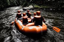 Bali Ayung River White Water Rafting with Transport