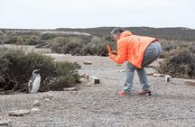 Cruise Shore Excursion Ea San Lorenzo Peninsula Valdes - Patagonia - Argentina