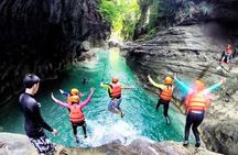 Oslob Whale Shark & Tumalog Falls & Kawasan Falls Canyoneering
