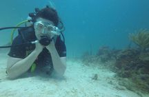 Catalina Island Scuba Diving - Amazing Full Day Tour!