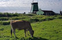 Amsterdam City & Countryside Tour: The Best of both Worlds