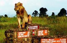 Nairobi National Park: Half Day Guided Tour From Nairobi