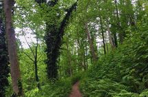 Private Hiking Tour to Mtirala National Park from Batumi