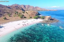Full Day Tour to Komodo Island By Speed Boat to explore 6 destinations