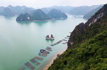 Luxury 5* Halong Bay 1 Day 8 hours cruising and Limousine