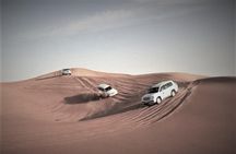 Desert Safari – Morning, Afternoon, Sunrise & Sunset Options