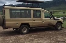 serengeti & ngorongoro 3 days private tour