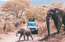 day trip lake manyara