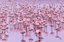 day trip lake manyara