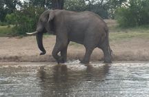 Sunset Cruise & Game Drive Combo Experience - MINIMUM 2 PEOPLE