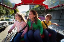 San Francisco Private Group City Tour 2.5 Hours - Lucky Tuk Tuk