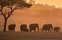 serengeti, ngorongoro & tarangire 5days private tour
