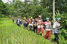 Rafting at Jangkok River Lombok