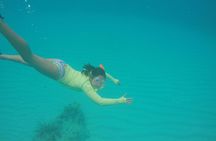 Fajardo Afternoon Snorkeling Adventure Tour