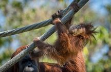 San Diego Zoo and Safari Park