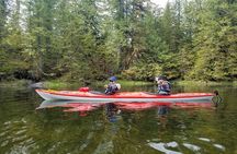 Owner Operated, Boat Launched, Kayak Tour